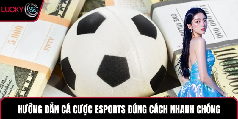 Hướng dẫn cá cược Esports đúng cách nhanh chóng