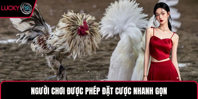 Người chơi được phép đặt cược nhanh gọn
