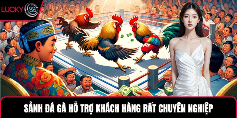 Sảnh đá gà hỗ trợ khách hàng rất chuyên nghiệp